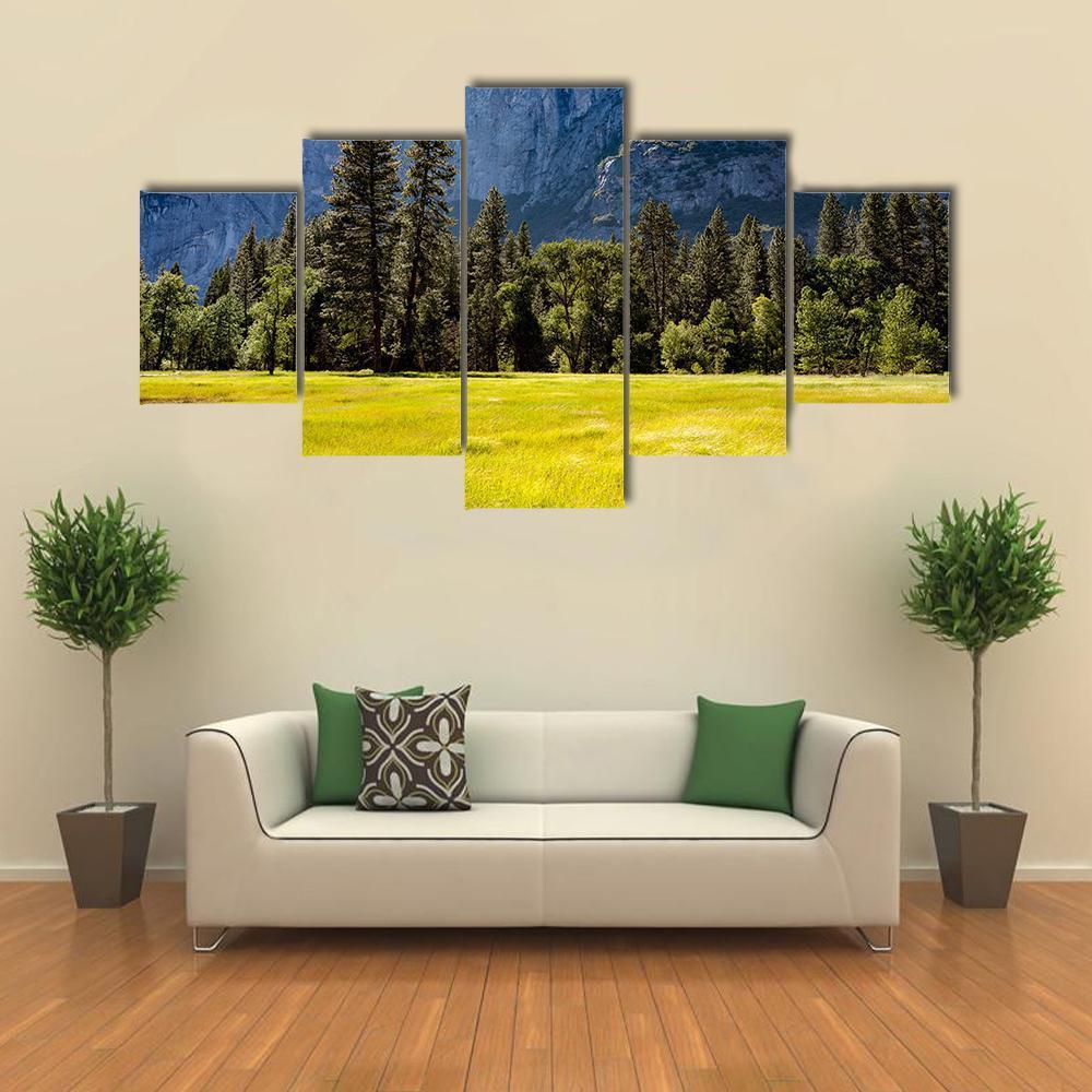 A Meadow In The Spring At Yosemite National Park - Nature 5 Panel Canvas Art Wall Decor A Meadow In The Spring At Yosemite National Park - Nature 5 Panel Canvas Art Wall Decor