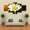 A Single Daisy Flower At Sunset - Nature 5 Panel Canvas Art Wall Decor