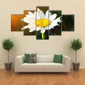 A Single Daisy Flower At Sunset - Nature 5 Panel Canvas Art Wall Decor
