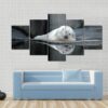 A Sleeping Polar Bear At A Zoo - Animal 5 Panel Canvas Art Wall Decor