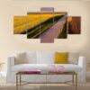 Aerial Shot Of Canola Rape Seed From Drone - Nature 5 Panel Canvas Art Wall Decor