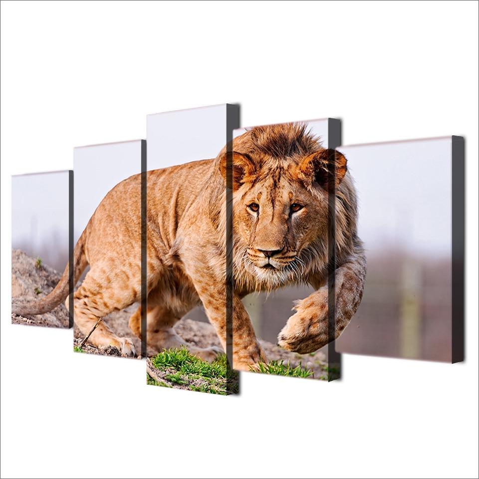 African Lion 2 - Animal 5 Panel Canvas Art Wall Decor African Lion 2 - Animal 5 Panel Canvas Art Wall Decor