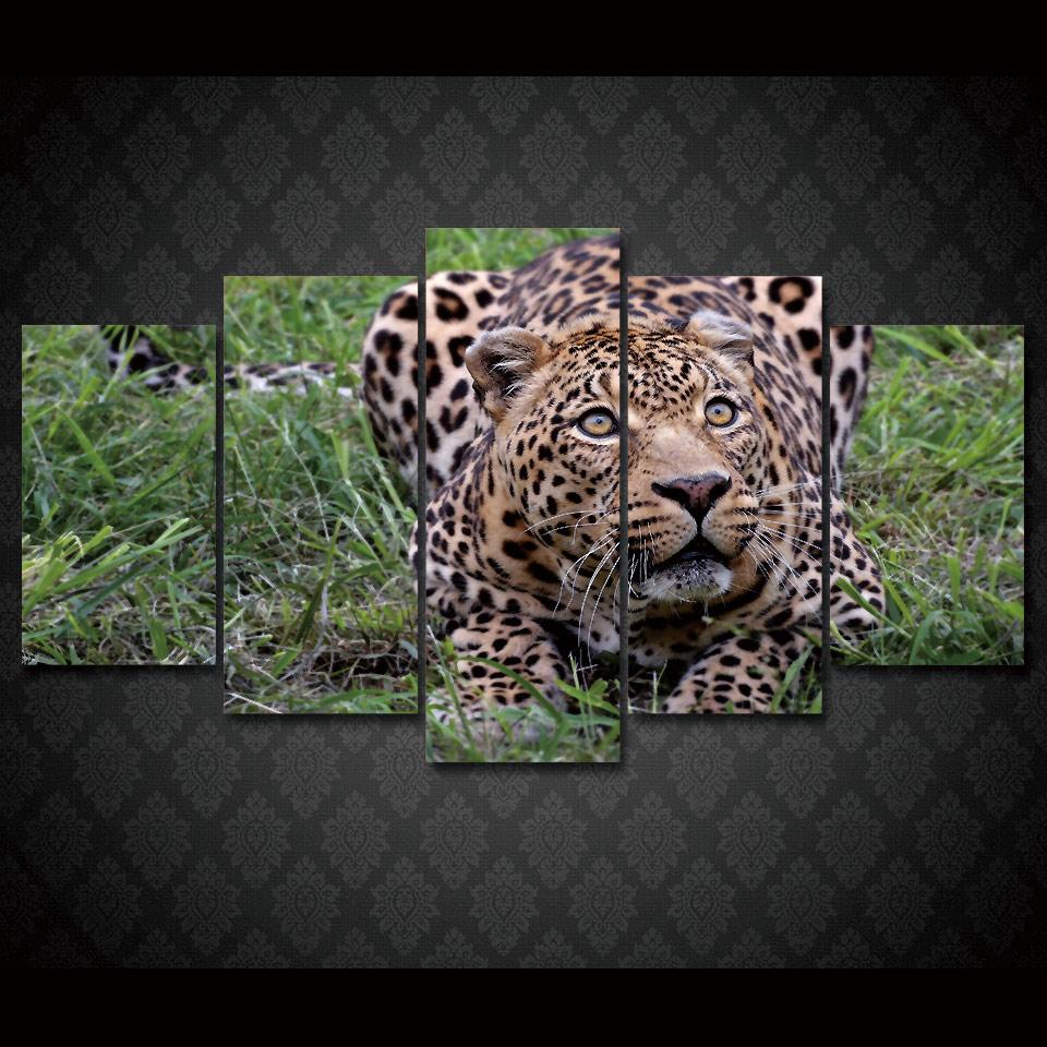 Afrika Leopard - Animal 5 Panel Canvas Art Wall Decor Afrika Leopard - Animal 5 Panel Canvas Art Wall Decor