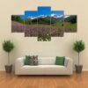 Alpine Fields With Purple Flowers In Swaneti - Nature 5 Panel Canvas Art Wall Decor