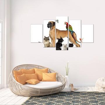 Animals And All - Animal 5 Panel Canvas Art Wall Decor Animals And All - Animal 5 Panel Canvas Art Wall Decor