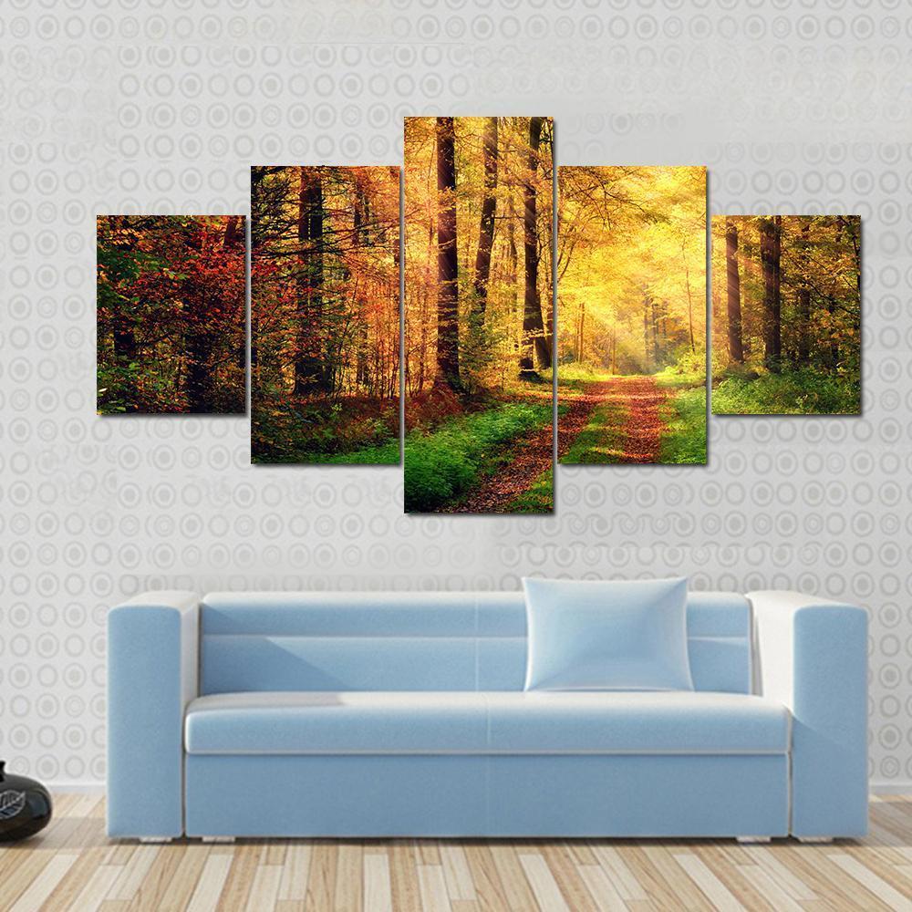 Autumn Forest Scenery With Rays Of Warm Light - Nature 5 Panel Canvas Art Wall Decor Autumn Forest Scenery With Rays Of Warm Light - Nature 5 Panel Canvas Art Wall Decor