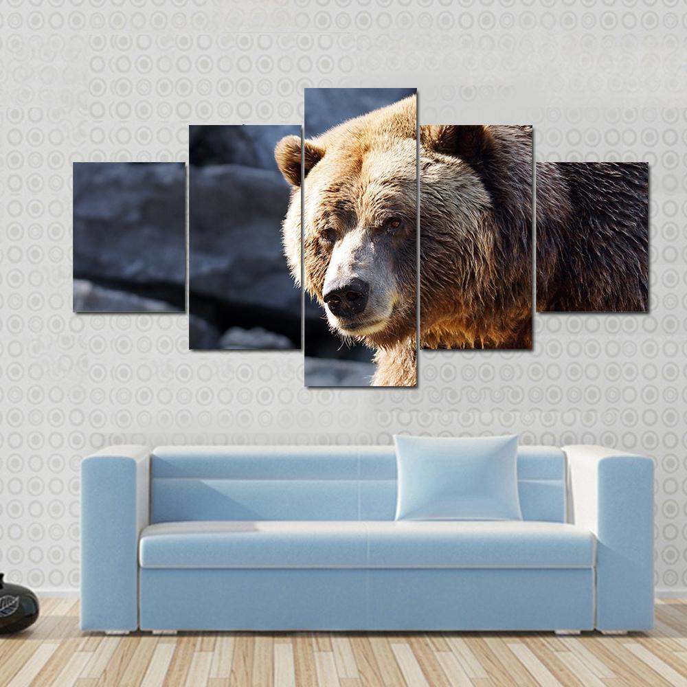 Big Grizzly Brown Bear Looking At Camera - Animal 5 Panel Canvas Art Wall Decor Big Grizzly Brown Bear Looking At Camera - Animal 5 Panel Canvas Art Wall Decor