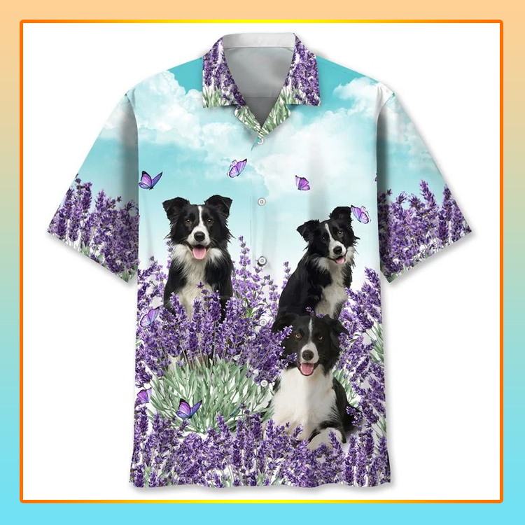 Border Collie Lavender Hawaii Shirt Border Collie Lavender Hawaii Shirt