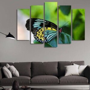 Butterfly In Blue Yellow And Black - Animal 5 Panel Canvas Art Wall Decor