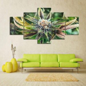 Cannabis Bloom - Nature 5 Panel Canvas Art Wall Decor