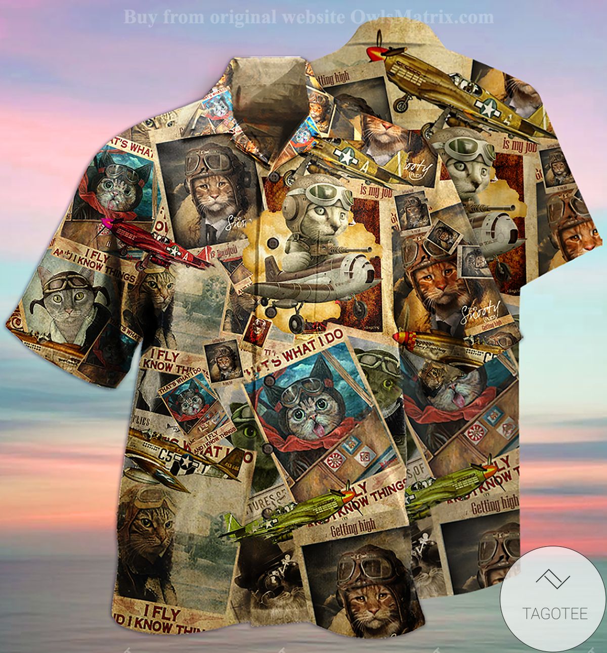 Cat Pilot I Fly And I Know Things Hawaiian Shirt Cat Pilot I Fly And I Know Things Hawaiian Shirt
