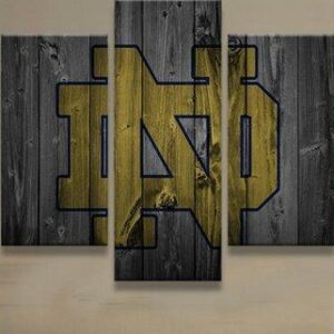 College Football Barn Wood Look 5 - Sport 5 Panel Canvas Art Wall Decor