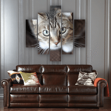 Curious Cat - Animal 5 Panel Canvas Art Wall Decor Curious Cat - Animal 5 Panel Canvas Art Wall Decor