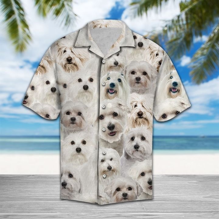 Cute Coton De Tulear Hawaiian Shirt Summer Button Up Cute Coton De Tulear Hawaiian Shirt Summer Button Up