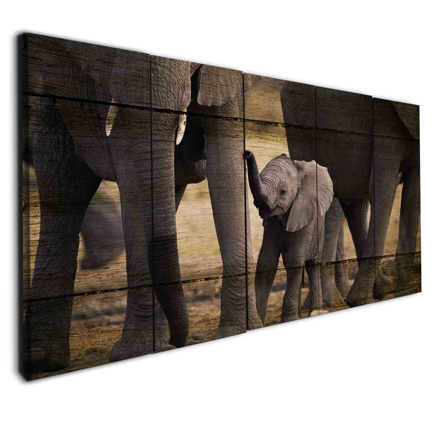 Elephants Collection 38 - Animal 5 Panel Canvas Art Wall Decor Elephants Collection 38 - Animal 5 Panel Canvas Art Wall Decor