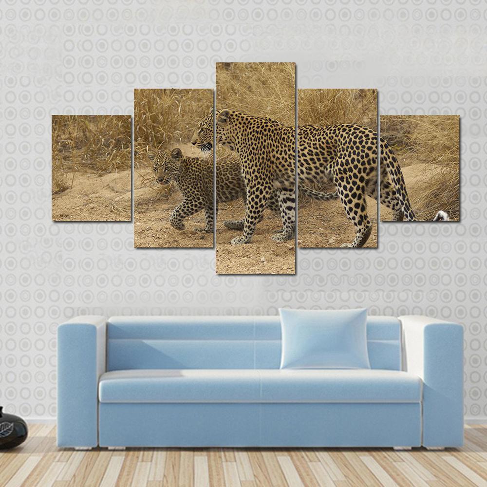 Female Leopard And Cub Walking - Animal 5 Panel Canvas Art Wall Decor Female Leopard And Cub Walking - Animal 5 Panel Canvas Art Wall Decor