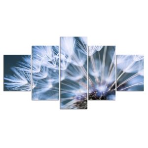 Flower Plants White Blossom Dandelion - Nature 5 Panel Canvas Art Wall Decor
