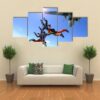 Four Parachutists Jumping Out Of An Airplane - Sport 5 Panel Canvas Art Wall Decor