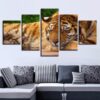Gentle Tiger Sleeping - Animal 5 Panel Canvas Art Wall Decor