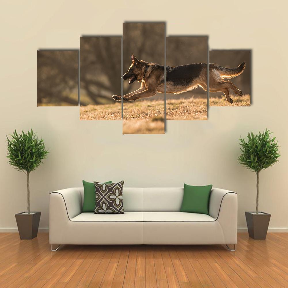 German Shepherd Dog Animal - 5 Panel Canvas Art Wall Decor German Shepherd Dog Animal - 5 Panel Canvas Art Wall Decor