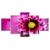 Gorgeous Flower Chrysanthemum Blossom - Nature 5 Panel Canvas Art Wall Decor