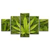 Green Leaves Marijuana Pot Canibus - Nature 5 Panel Canvas Art Wall Decor