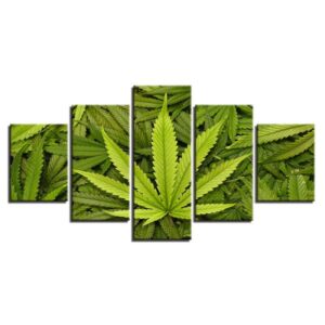 Green Leaves Marijuana Pot Canibus - Nature 5 Panel Canvas Art Wall Decor