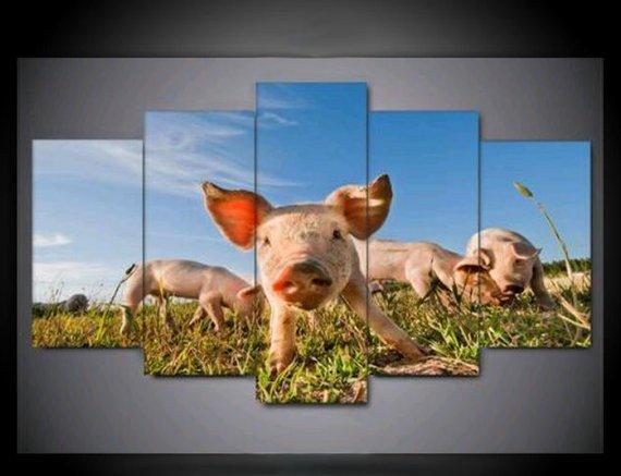 Happy Pig - Animal 5 Panel Canvas Art Wall Decor Happy Pig - Animal 5 Panel Canvas Art Wall Decor