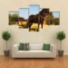Horse Outdoor Summer Day - Animal 5 Panel Canvas Art Wall Decor