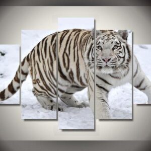 Large White Tiger In Snow - Animal 5 Panel Canvas Art Wall Decor