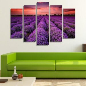 Lavender Fields At Sunset - Nature 5 Panel Canvas Art Wall Decor