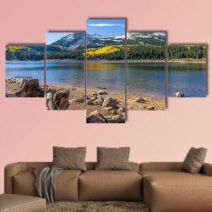 Lost Lake Along The Kebler Pass - Nature 5 Panel Canvas Art Wall Decor
