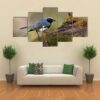 Male Black Throated Blue Warbler - Animal 5 Panel Canvas Art Wall Decor