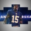 New York Giants - Brandon Marshall - Sport 5 Panel Canvas Art Wall Decor
