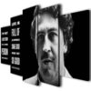 Pablo Escobar - Famous Person 5 Panel Canvas Art Wall Decor