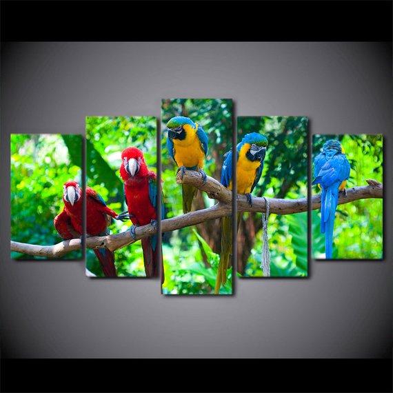 Parrots Beautiful Parrots Food - Animal 5 Panel Canvas Art Wall Decor Parrots Beautiful Parrots Food - Animal 5 Panel Canvas Art Wall Decor