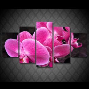 Pink orchid 4 - Nature 5 Panel Canvas Art Wall Decor