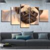 Pug 12 - Animal 5 Panel Canvas Art Wall Decor
