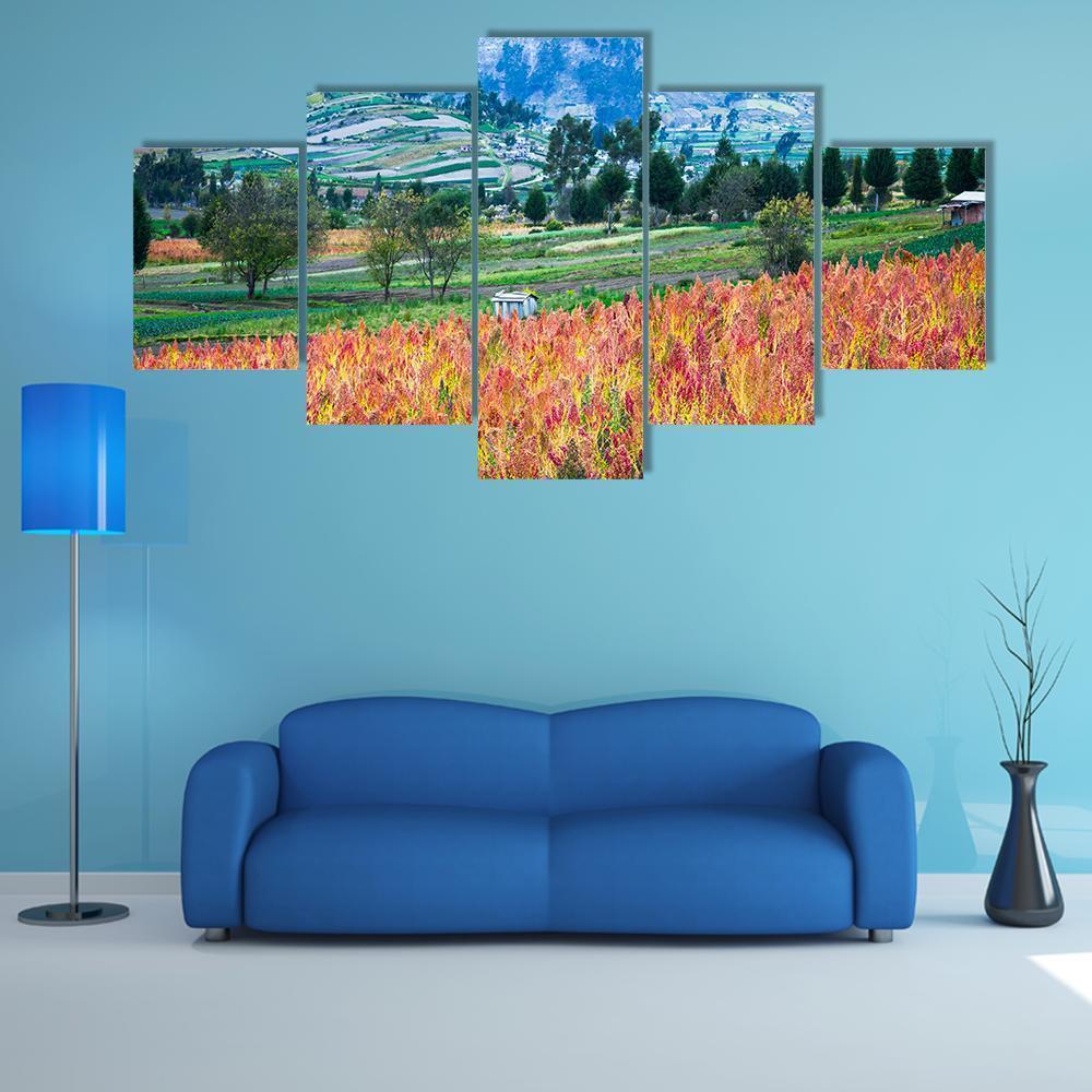 Quinoa Cultivated Fields - Nature 5 Panel Canvas Art Wall Decor Quinoa Cultivated Fields - Nature 5 Panel Canvas Art Wall Decor