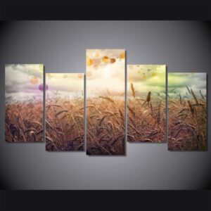Rainbow Country - Nature 5 Panel Canvas Art Wall Decor