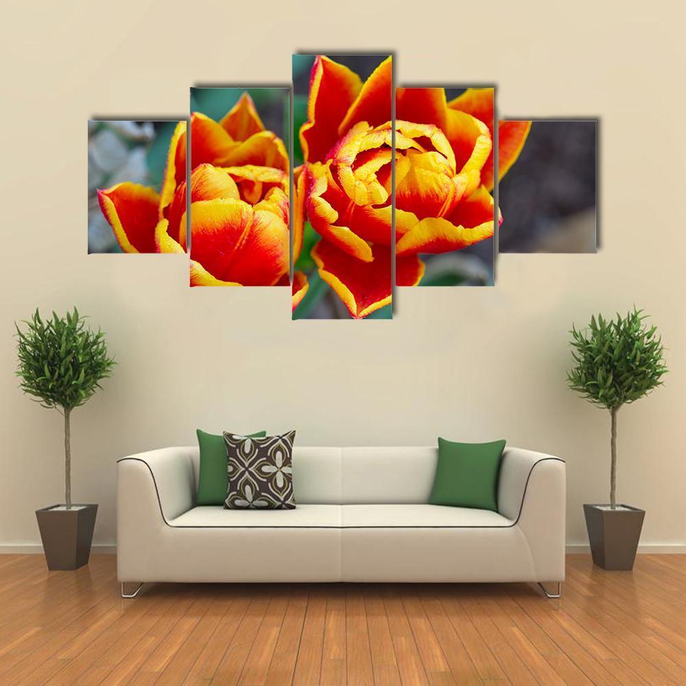 Red Tulips Close-Up - Nature 5 Panel Canvas Art Wall Decor Red Tulips Close-Up - Nature 5 Panel Canvas Art Wall Decor