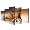 Runing Horse Rest - Animal 5 Panel Canvas Art Wall Decor