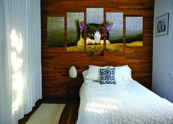Scared Kitten - Animal 5 Panel Canvas Art Wall Decor Scared Kitten - Animal 5 Panel Canvas Art Wall Decor