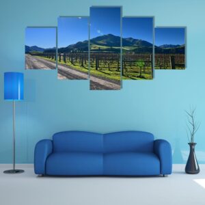 Scenic Vineyard In Canterbury - Nature 5 Panel Canvas Art Wall Decor