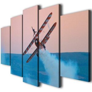 Stunts Wingwalkers Sport - Aircraft 5 Panel Canvas Art Wall Decor