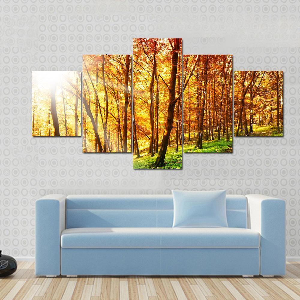 Sun In The Autumn Forest - Nature 5 Panel Canvas Art Wall Decor Sun In The Autumn Forest - Nature 5 Panel Canvas Art Wall Decor