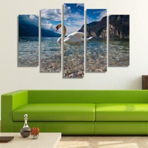 Swan In A Lake 02 - Animal 5 Panel Canvas Art Wall Decor