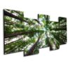 Tree Forest - Nature 5 Panel Canvas Art Wall Decor