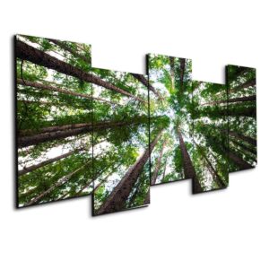 Tree Forest - Nature 5 Panel Canvas Art Wall Decor