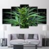 Weed Bud - Nature 5 Panel Canvas Art Wall Decor